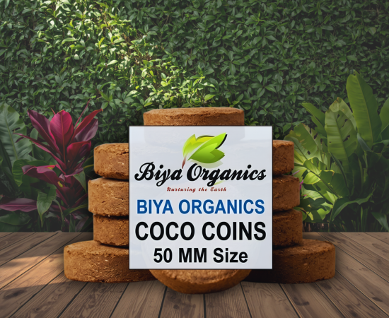 Coco Coins 50 MM Size